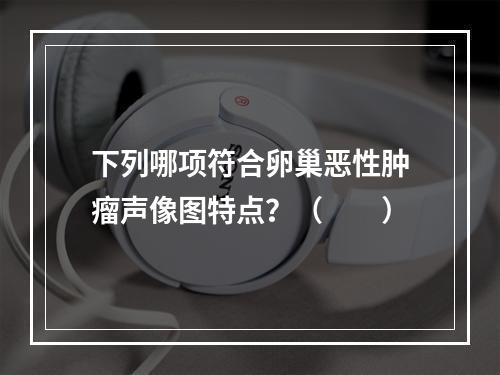 下列哪项符合卵巢恶性肿瘤声像图特点？（　　）