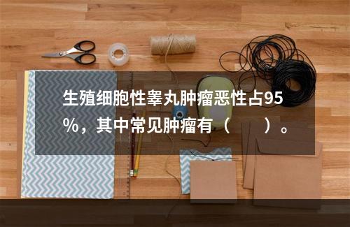 生殖细胞性睾丸肿瘤恶性占95％，其中常见肿瘤有（　　）。