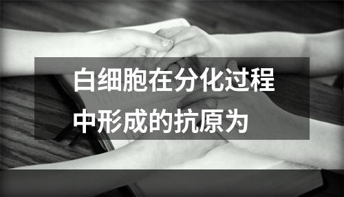 白细胞在分化过程中形成的抗原为