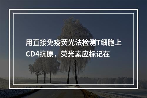 用直接免疫荧光法检测T细胞上CD4抗原，荧光素应标记在