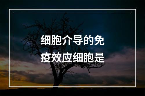 细胞介导的免疫效应细胞是