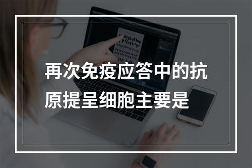 再次免疫应答中的抗原提呈细胞主要是