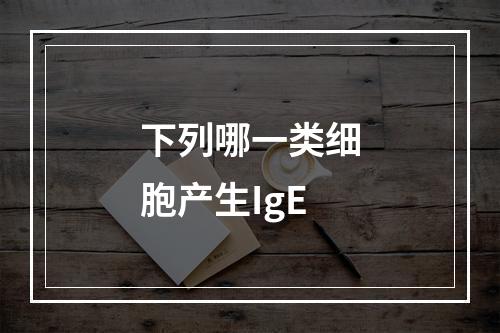 下列哪一类细胞产生IgE