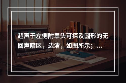 超声于左侧附睾头可探及圆形的无回声暗区，边清，如图所示；考虑