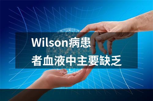 Wilson病患者血液中主要缺乏