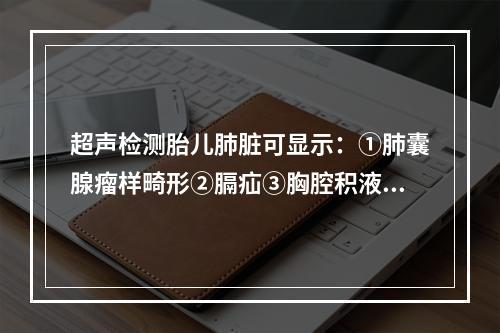 超声检测胎儿肺脏可显示：①肺囊腺瘤样畸形②膈疝③胸腔积液④由