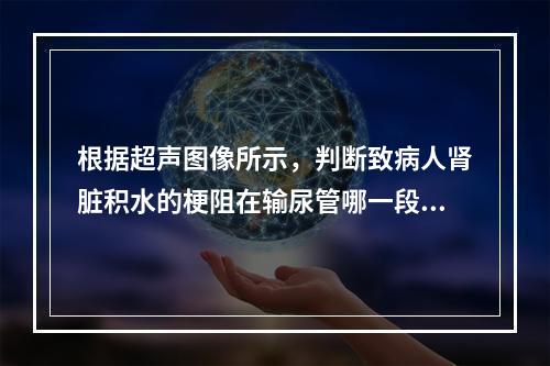 根据超声图像所示，判断致病人肾脏积水的梗阻在输尿管哪一段？（