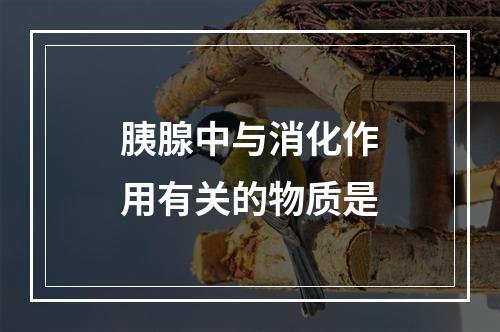 胰腺中与消化作用有关的物质是