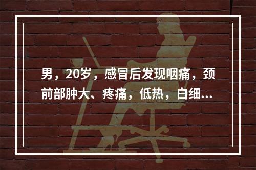 男，20岁，感冒后发现咽痛，颈前部肿大、疼痛，低热，白细胞升