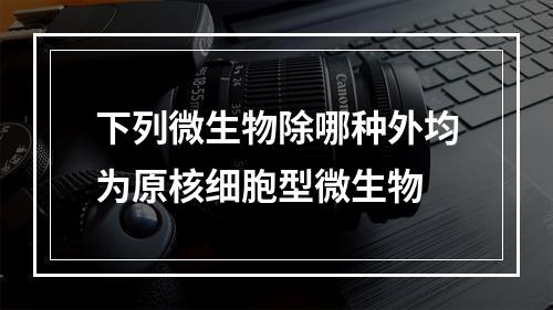 下列微生物除哪种外均为原核细胞型微生物