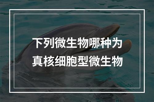 下列微生物哪种为真核细胞型微生物