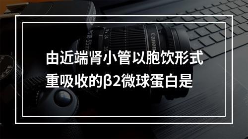 由近端肾小管以胞饮形式重吸收的β2微球蛋白是