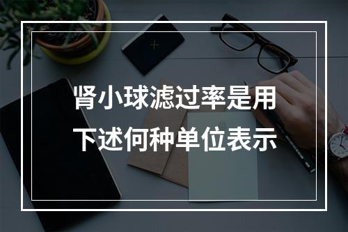 肾小球滤过率是用下述何种单位表示