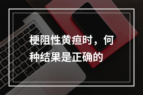 梗阻性黄疸时，何种结果是正确的