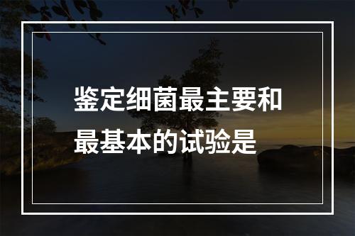 鉴定细菌最主要和最基本的试验是