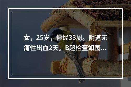 女，25岁，停经33周。阴道无痛性出血2天。B超检查如图，最