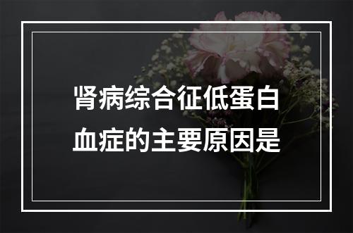 肾病综合征低蛋白血症的主要原因是