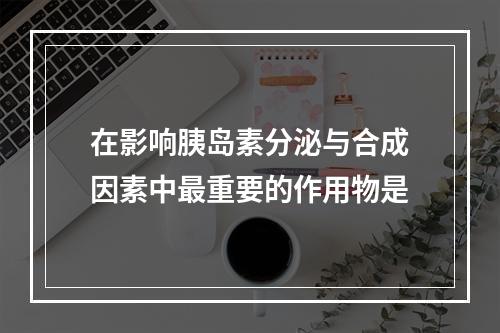 在影响胰岛素分泌与合成因素中最重要的作用物是