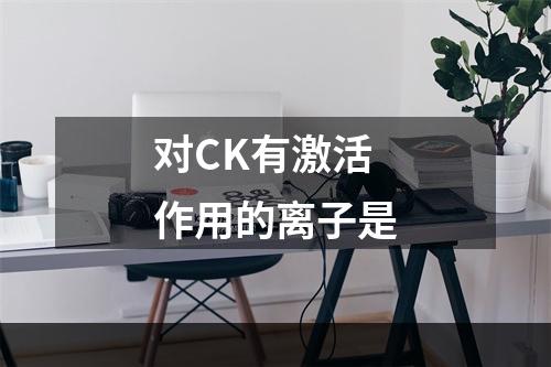 对CK有激活作用的离子是