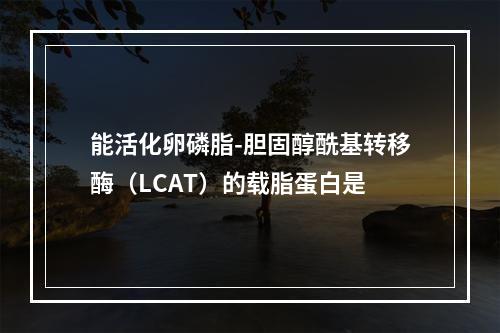 能活化卵磷脂-胆固醇酰基转移酶（LCAT）的载脂蛋白是