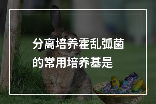 分离培养霍乱弧菌的常用培养基是