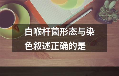 白喉杆菌形态与染色叙述正确的是