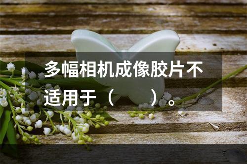 多幅相机成像胶片不适用于（　　）。