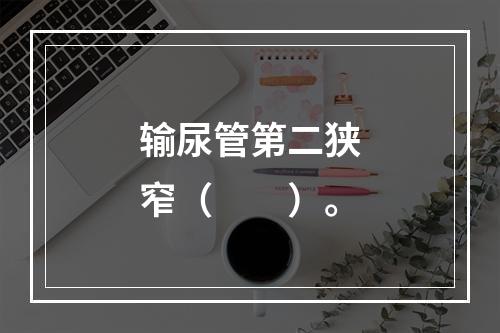 输尿管第二狭窄（　　）。