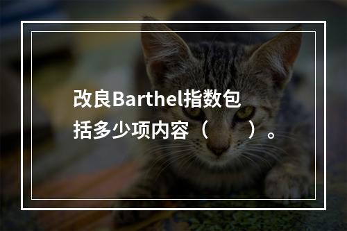 改良Barthel指数包括多少项内容（　　）。