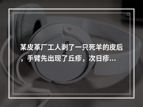 某皮革厂工人剥了一只死羊的皮后，手臂先出现了丘疹，次日疹顶部