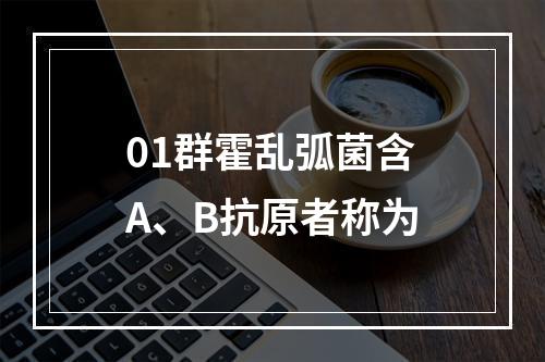 01群霍乱弧菌含A、B抗原者称为