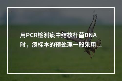 用PCR检测痰中结核杆菌DNA时，痰标本的预处理一般采用下列