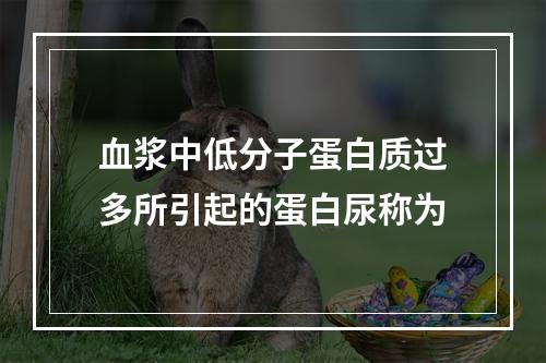 血浆中低分子蛋白质过多所引起的蛋白尿称为