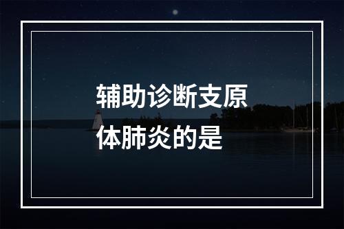 辅助诊断支原体肺炎的是