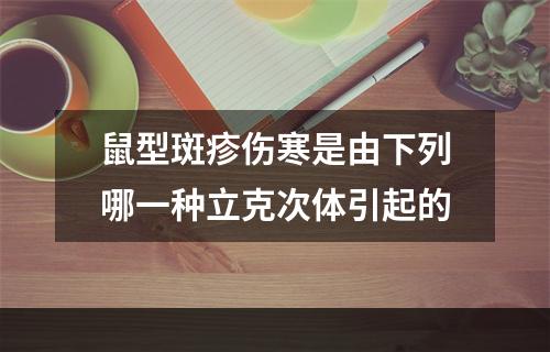 鼠型斑疹伤寒是由下列哪一种立克次体引起的