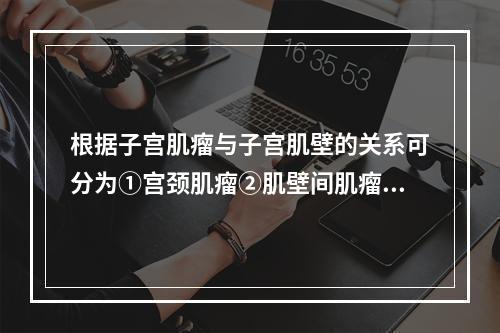 根据子宫肌瘤与子宫肌壁的关系可分为①宫颈肌瘤②肌壁间肌瘤③浆