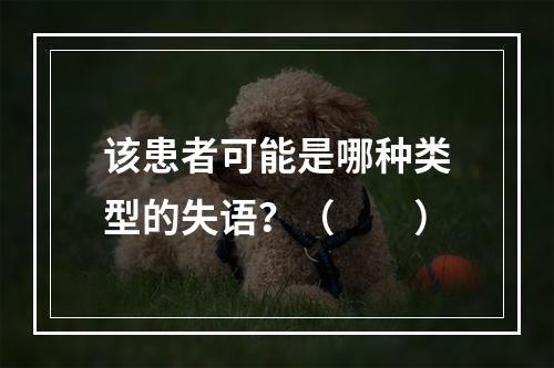 该患者可能是哪种类型的失语？（　　）