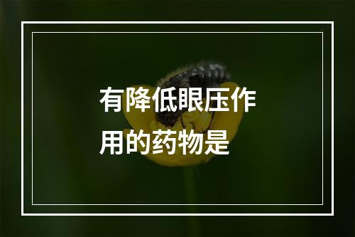 有降低眼压作用的药物是