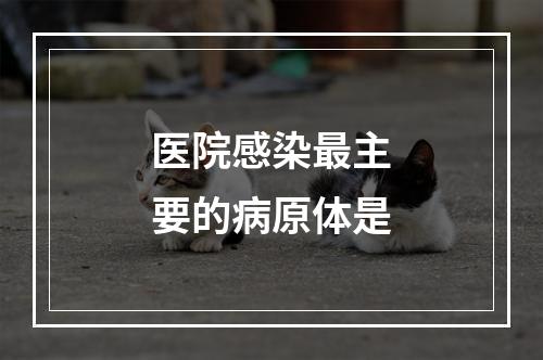 医院感染最主要的病原体是