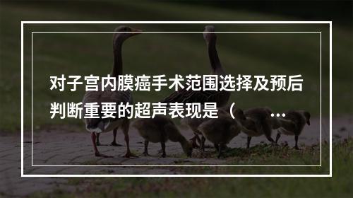 对子宫内膜癌手术范围选择及预后判断重要的超声表现是（　　）。