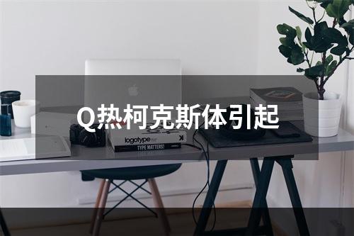 Q热柯克斯体引起