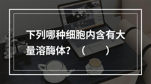 下列哪种细胞内含有大量溶酶体？（　　）