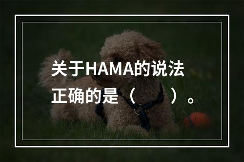 关于HAMA的说法正确的是（　　）。