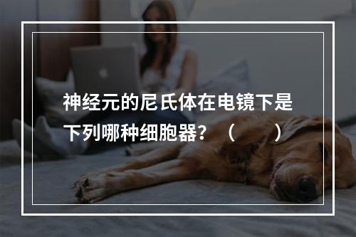 神经元的尼氏体在电镜下是下列哪种细胞器？（　　）