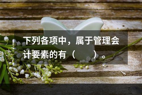 下列各项中，属于管理会计要素的有（　　）。