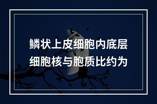 鳞状上皮细胞内底层细胞核与胞质比约为