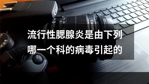 流行性腮腺炎是由下列哪一个科的病毒引起的