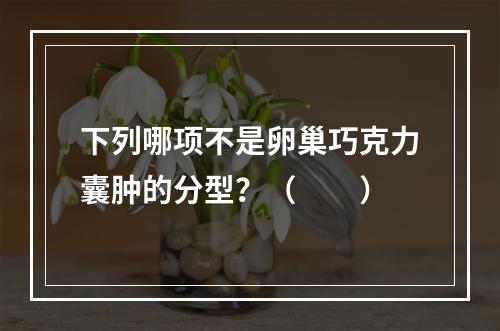 下列哪项不是卵巢巧克力囊肿的分型？（　　）