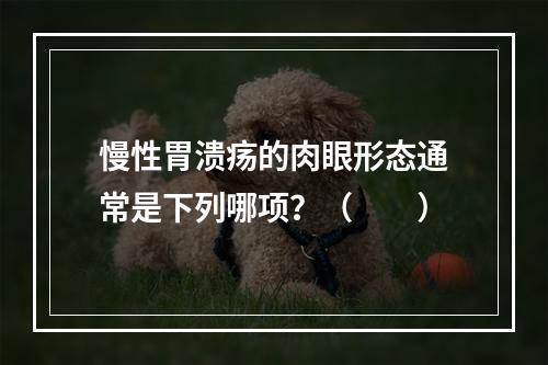 慢性胃溃疡的肉眼形态通常是下列哪项？（　　）