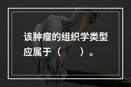 该肿瘤的组织学类型应属于（　　）。